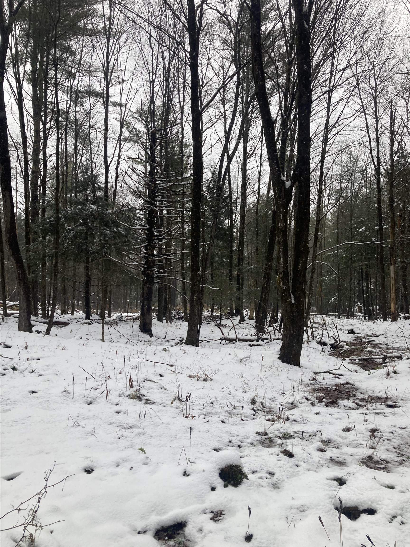 0 Rocky Road Johnson, VT 05656 - Photo 6 of 6