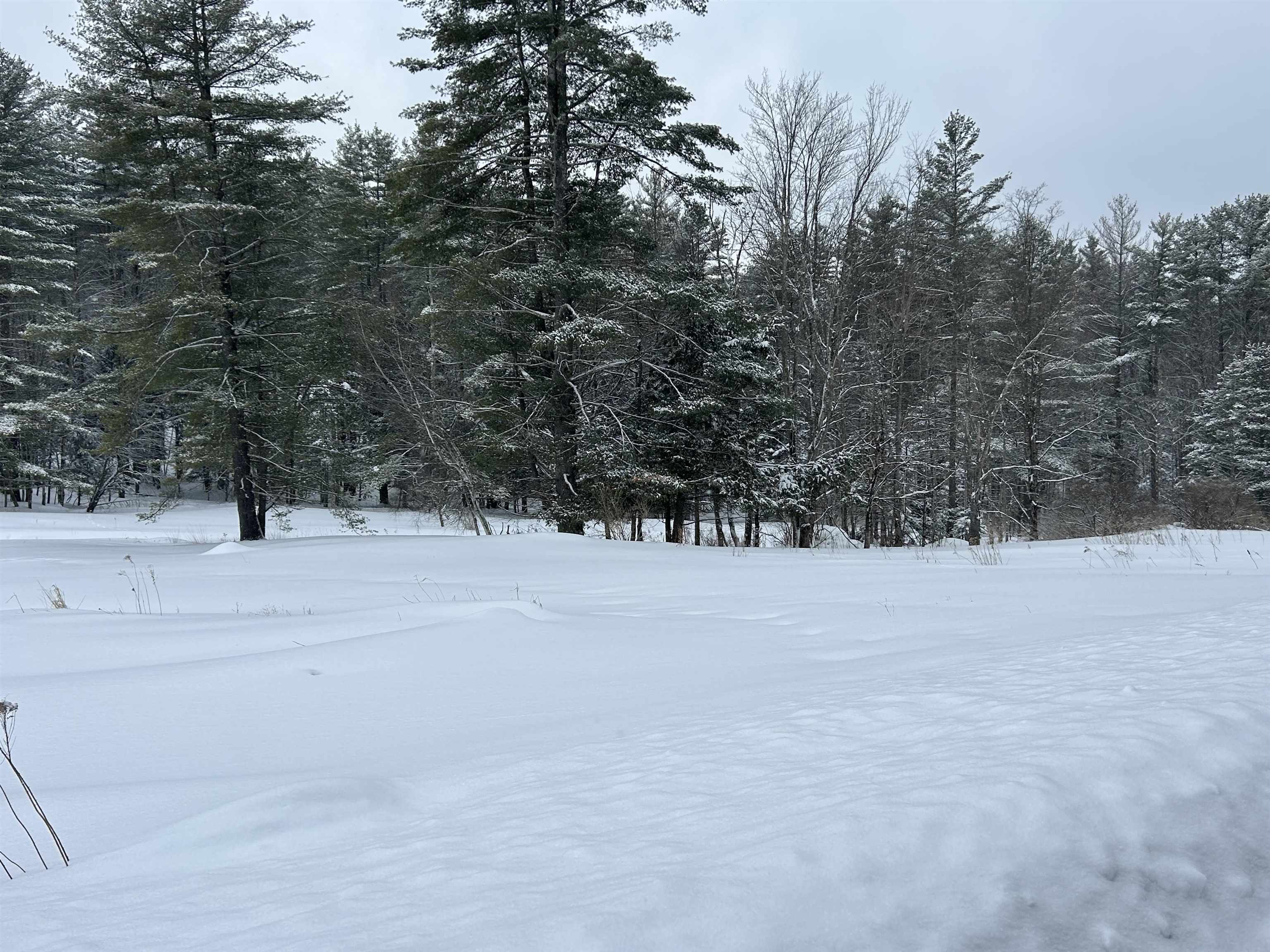0 Rocky Road Johnson, VT 05656 - Photo 7 of 19