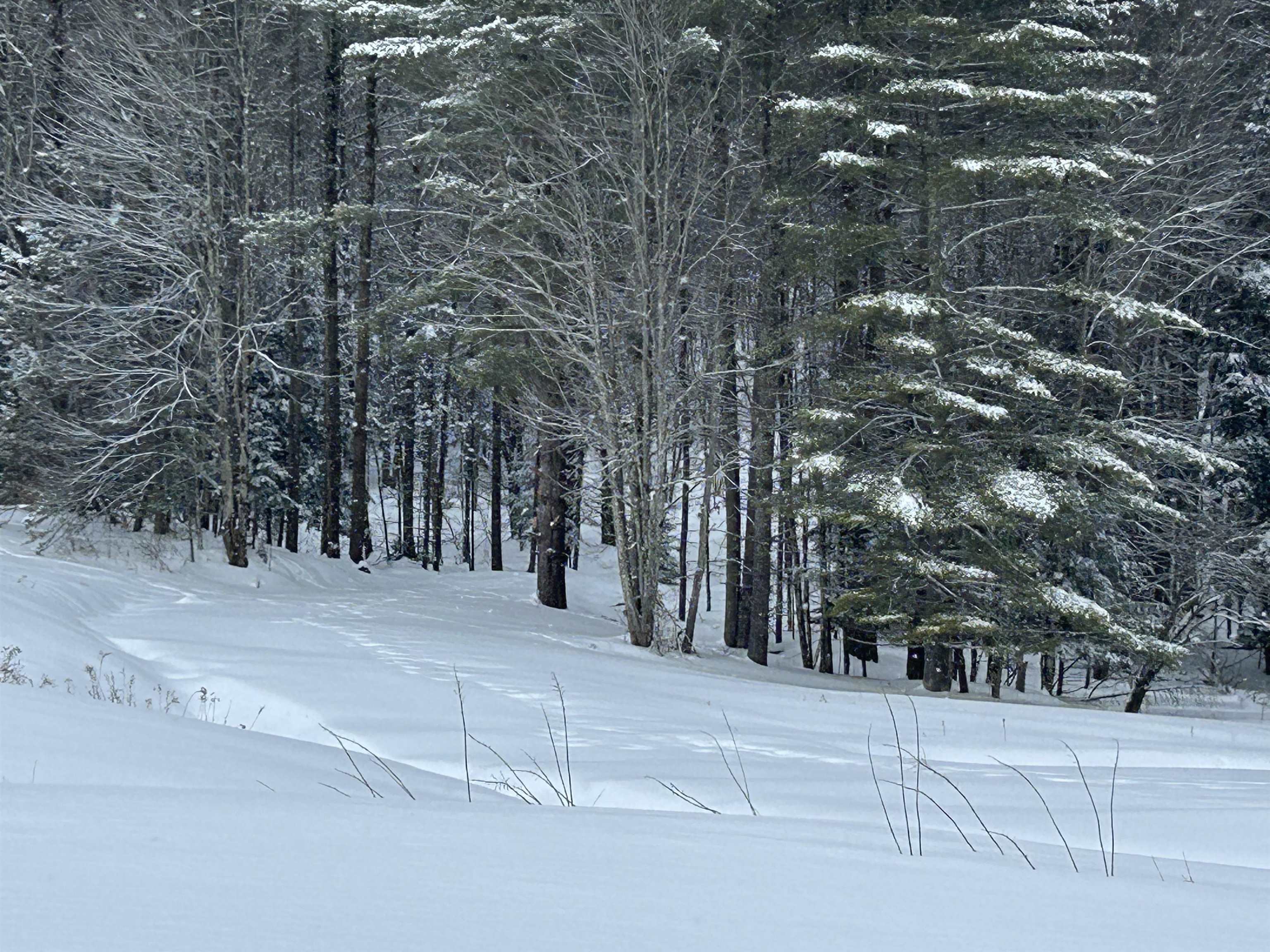 0 Rocky Road Johnson, VT 05656 - Photo 10 of 19