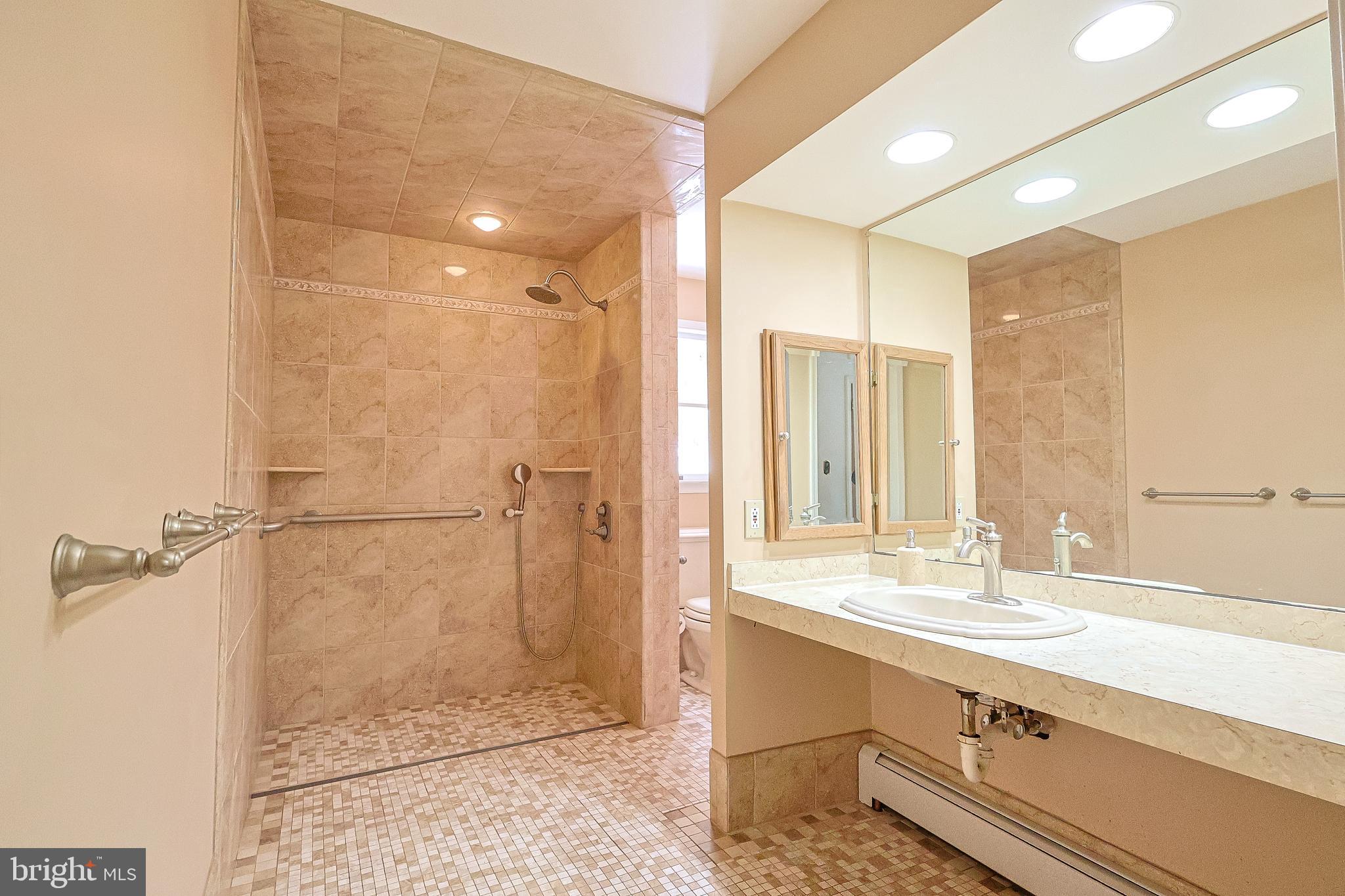 807 North Broad Street Doylestown, PA 18901 - Photo 17 of 19 Full Bath