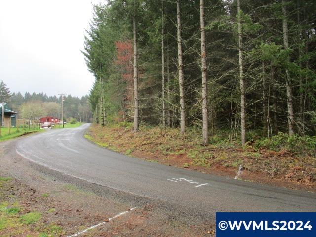 0 Zurfluh Road Scio, OR 97374 - Photo 4 of 14
