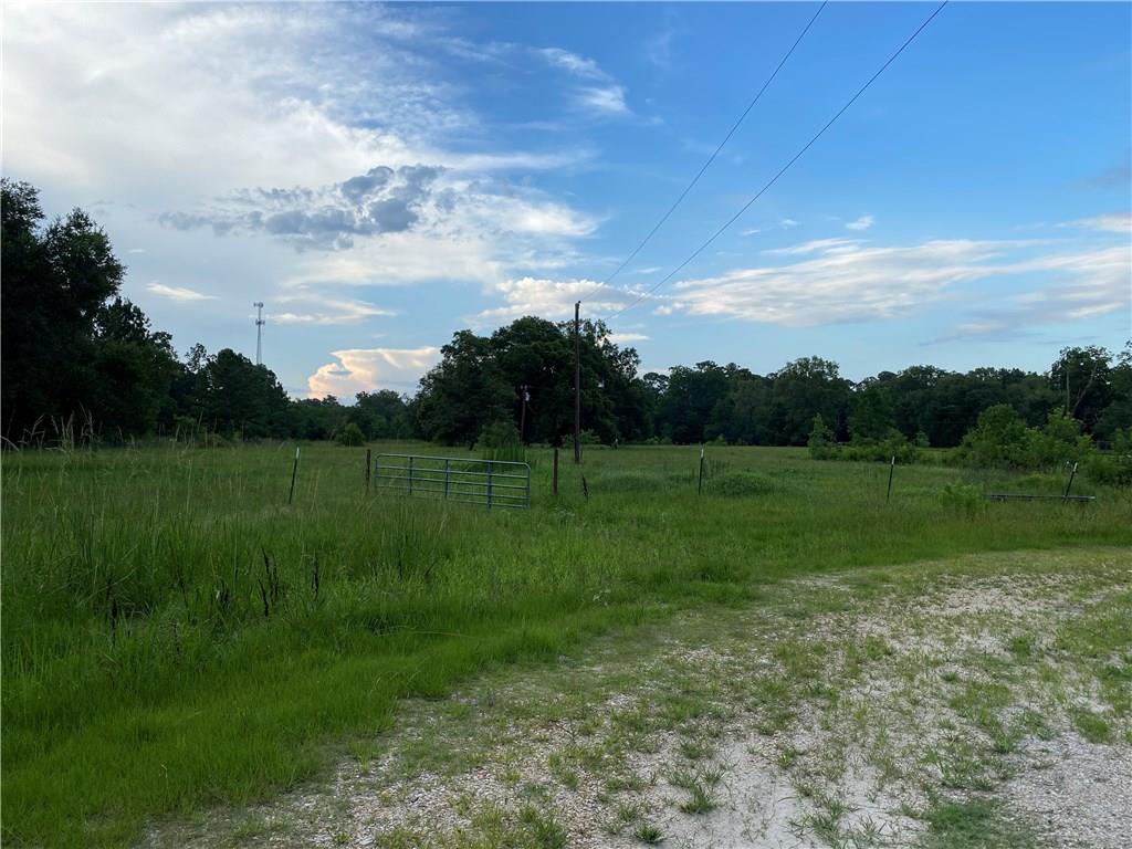 Lot 4 Coates Road Hammond, LA 70403 - Photo 12 of 20