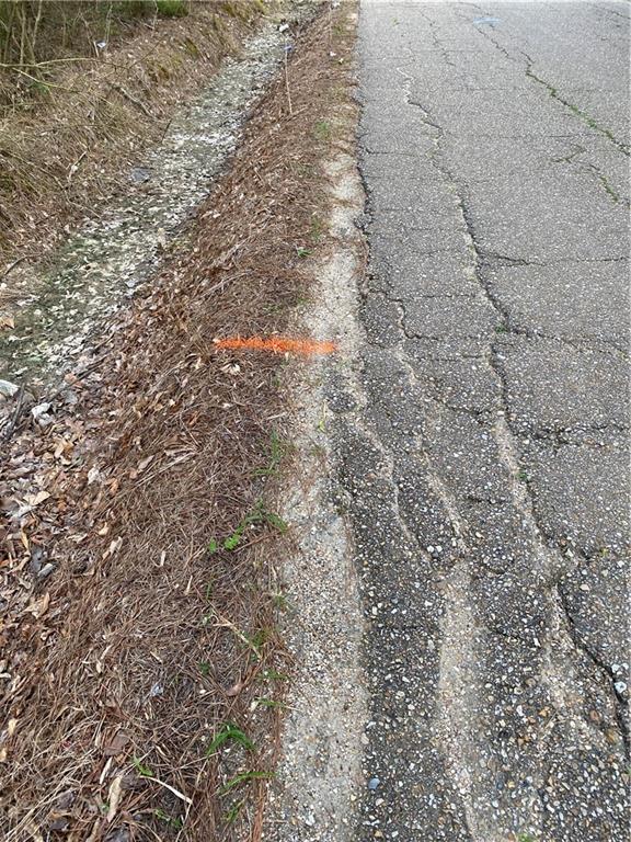 Lot 4 Coates Road Hammond, LA 70403 - Photo 8 of 20