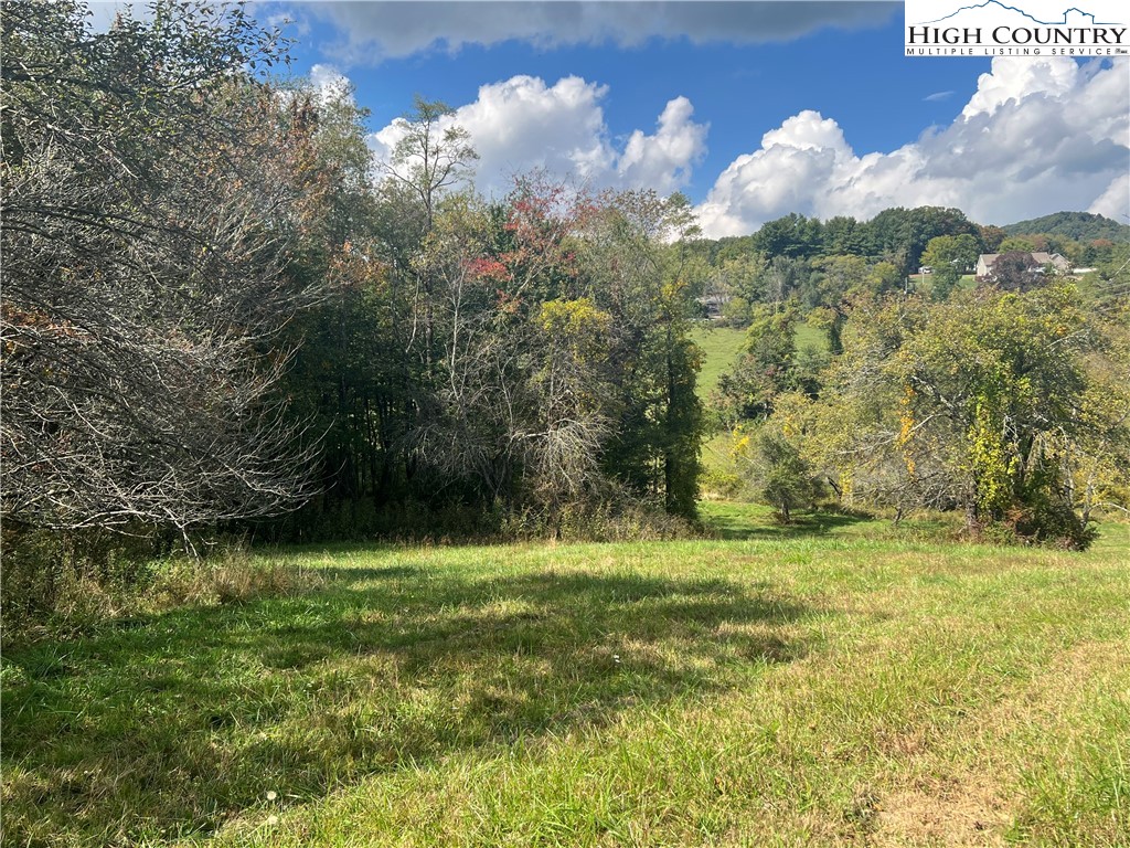a view of a grassy area with an trees