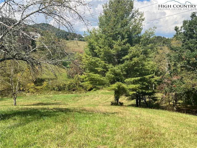 a view of a yard with a tree
