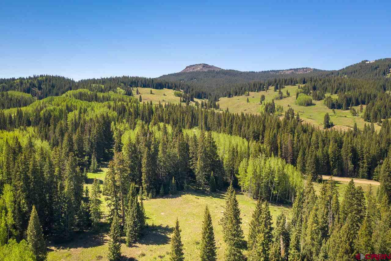 1360 Red Mountain Ranch Road Crested Butte, CO 81224 - Photo 2 of 8 Gallery Image 2