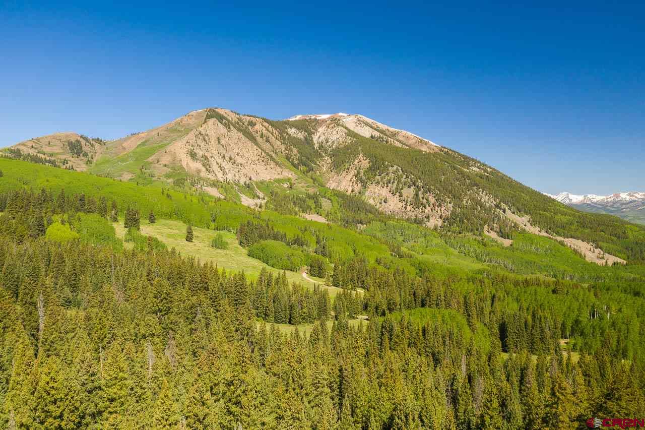 1360 Red Mountain Ranch Road Crested Butte, CO 81224 - Photo 3 of 8 Gallery Image 3