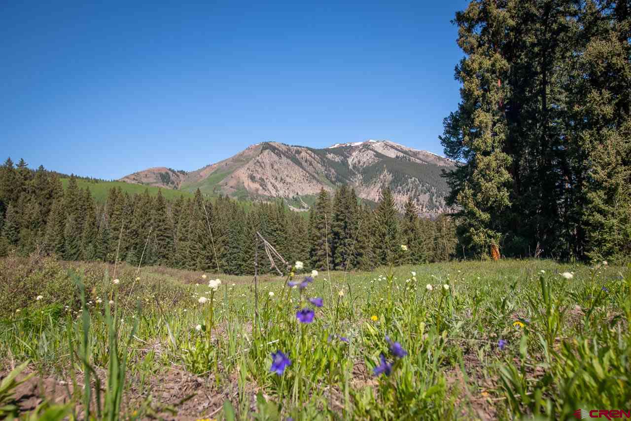 1360 Red Mountain Ranch Road Crested Butte, CO 81224 - Photo 5 of 8 Gallery Image 5