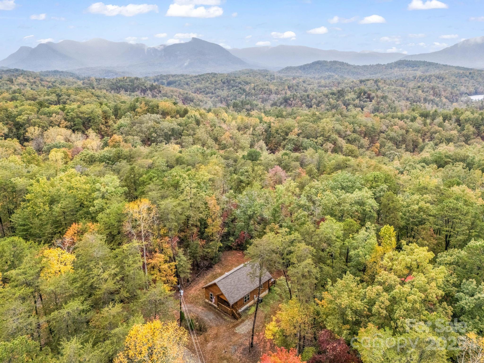 174 Doves Way Lake Lure, NC 28746 - Photo 39 of 42