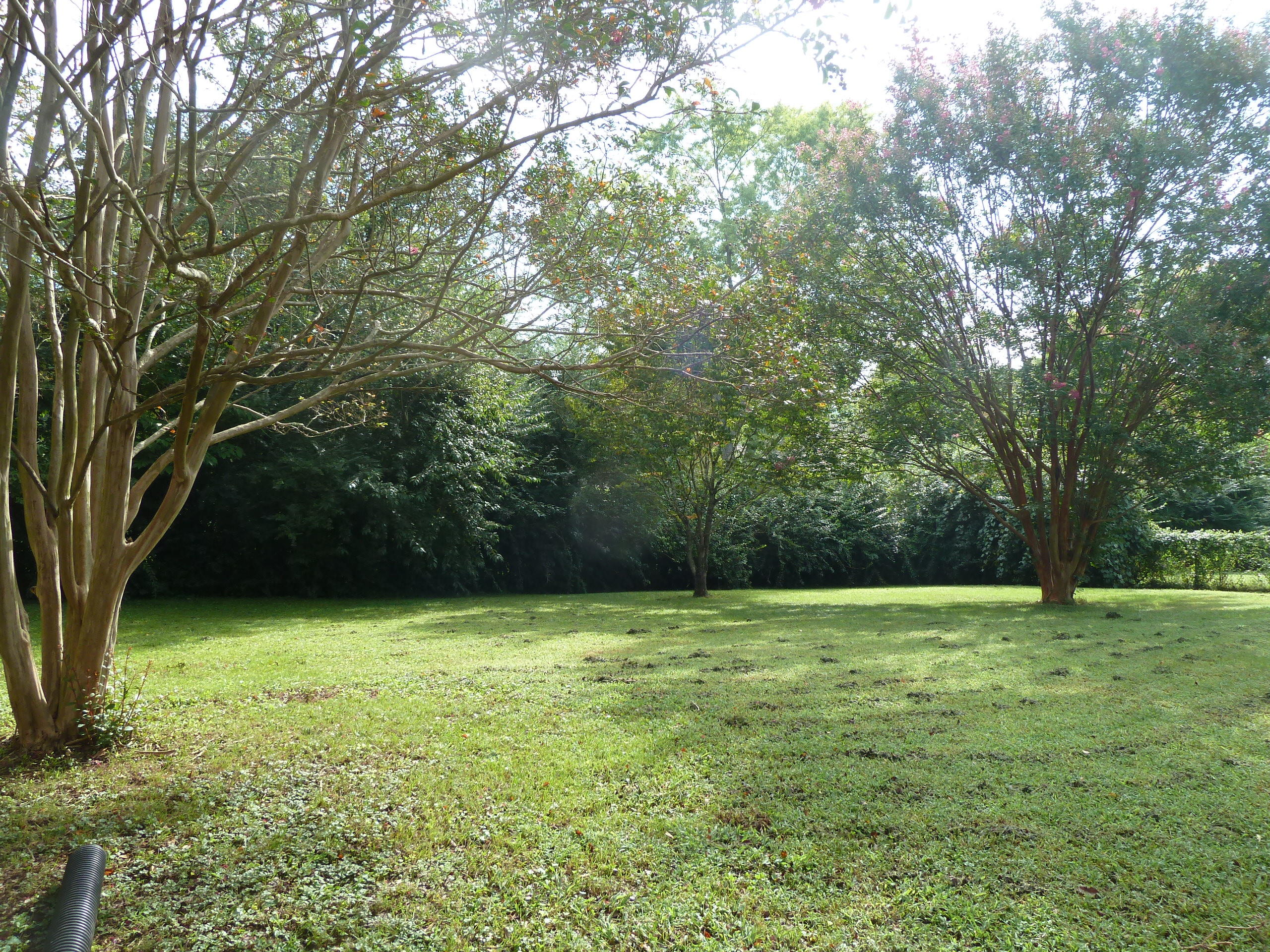7730 Keswick Road Powell, TN 37849 - Photo 16 of 21 P1200828
