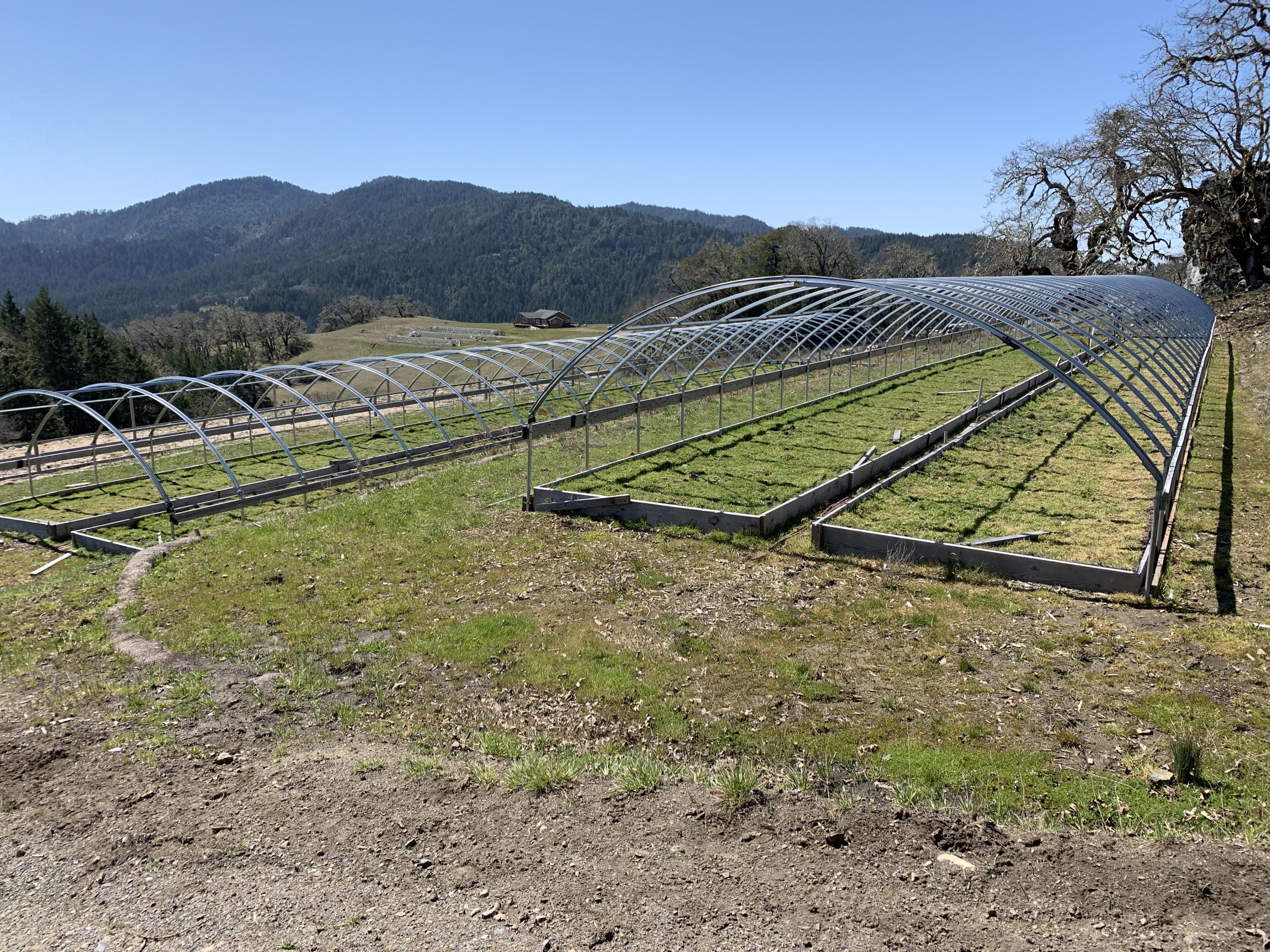 1700 Larabee Valley Road Bridgeville, CA 95526 - Photo 5 of 25