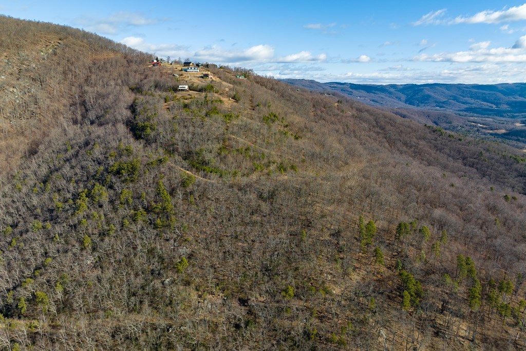 Lot 93 Reflections Point Trail, Unit 93 Fancy Gap, VA 24328 - Photo 32 of 92 Gallery Image 32