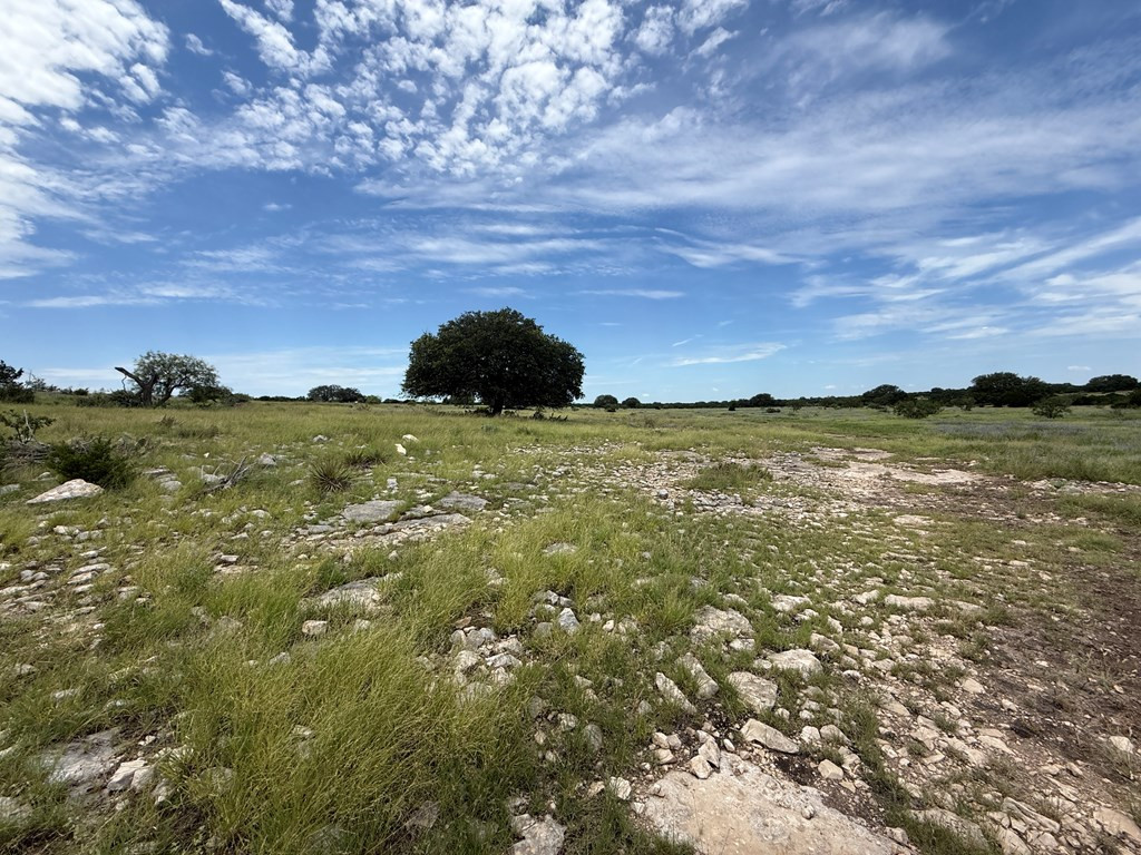 3420 Northeast County Road Sonora, TX 76950 - Photo 32 of 94 Photo 33