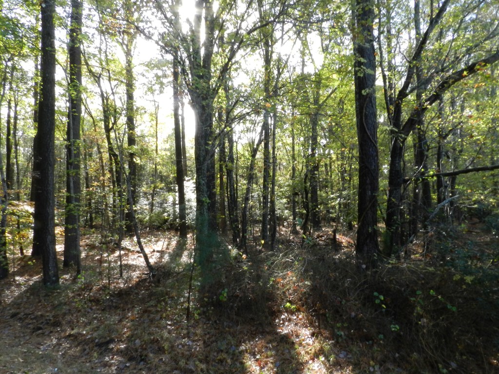 Lot E2 Battle Point Road, Unit E2 Exmore, VA 23350 - Photo 5 of 22