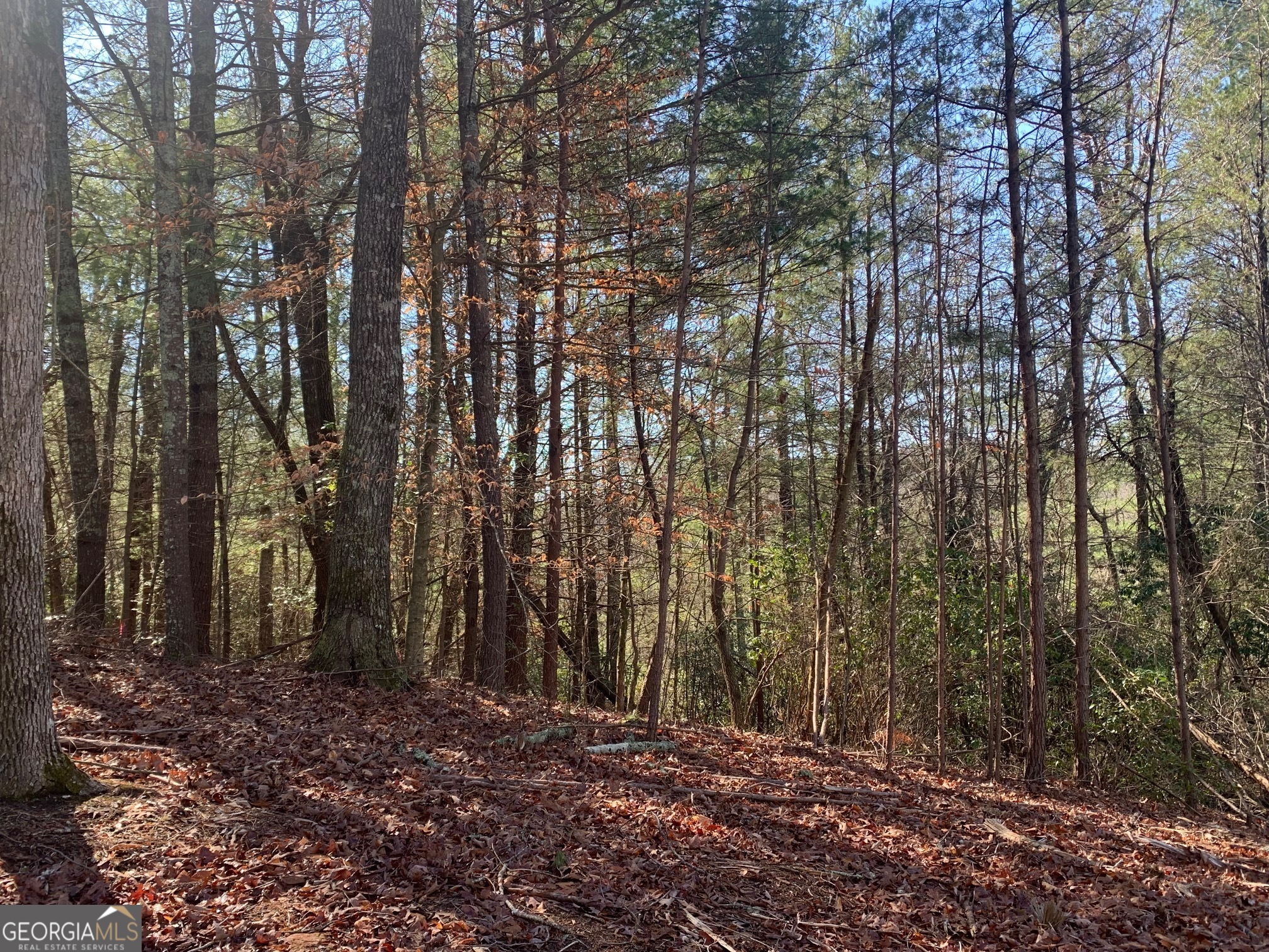 0 East New Hope Road, Unit TRACT B Ellijay, GA 30536 - Photo 17 of 20 Gallery Image 17