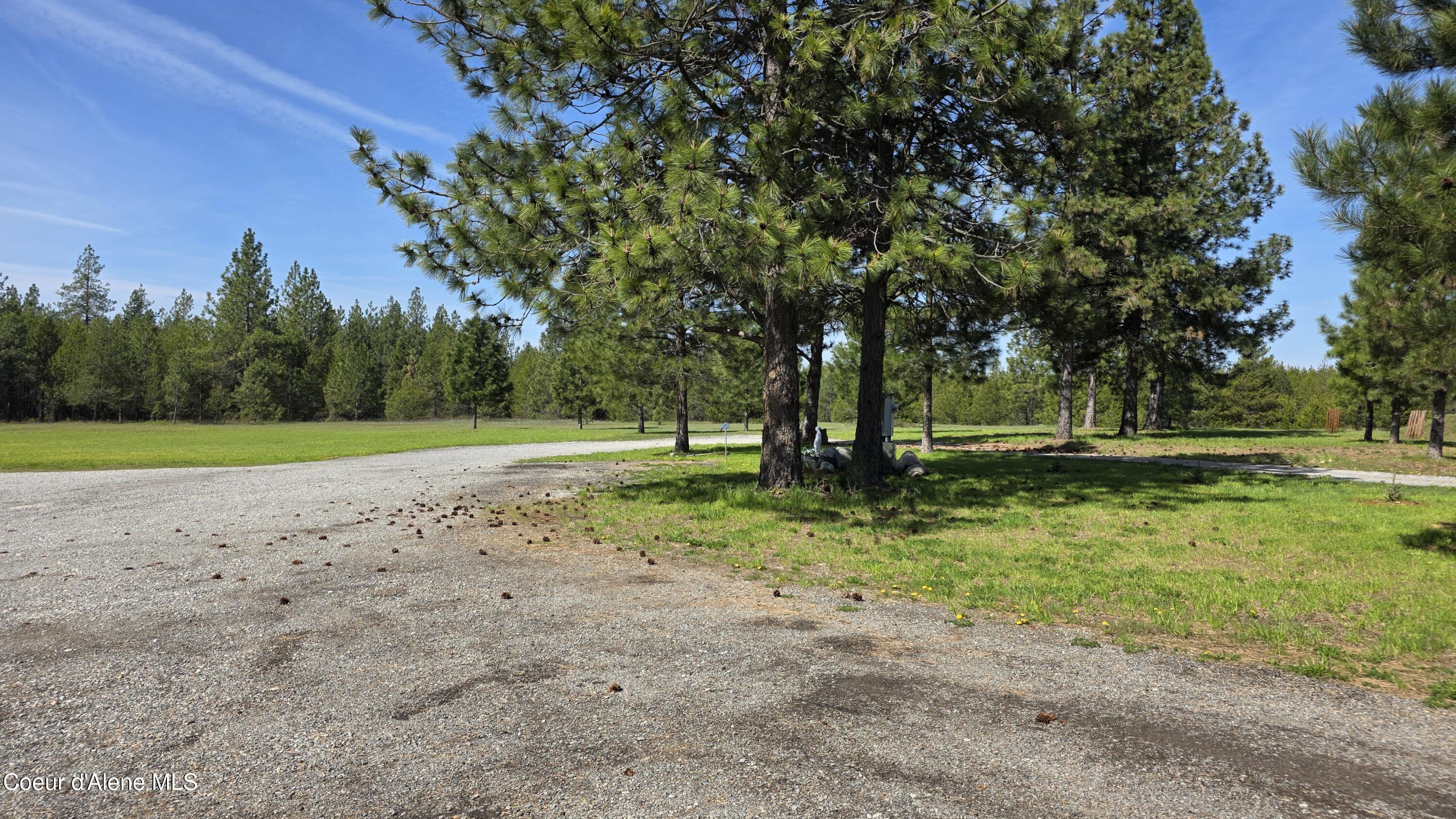 8702 East Scout Trail Road Athol, ID 83801 - Photo 19 of 43 Driveway