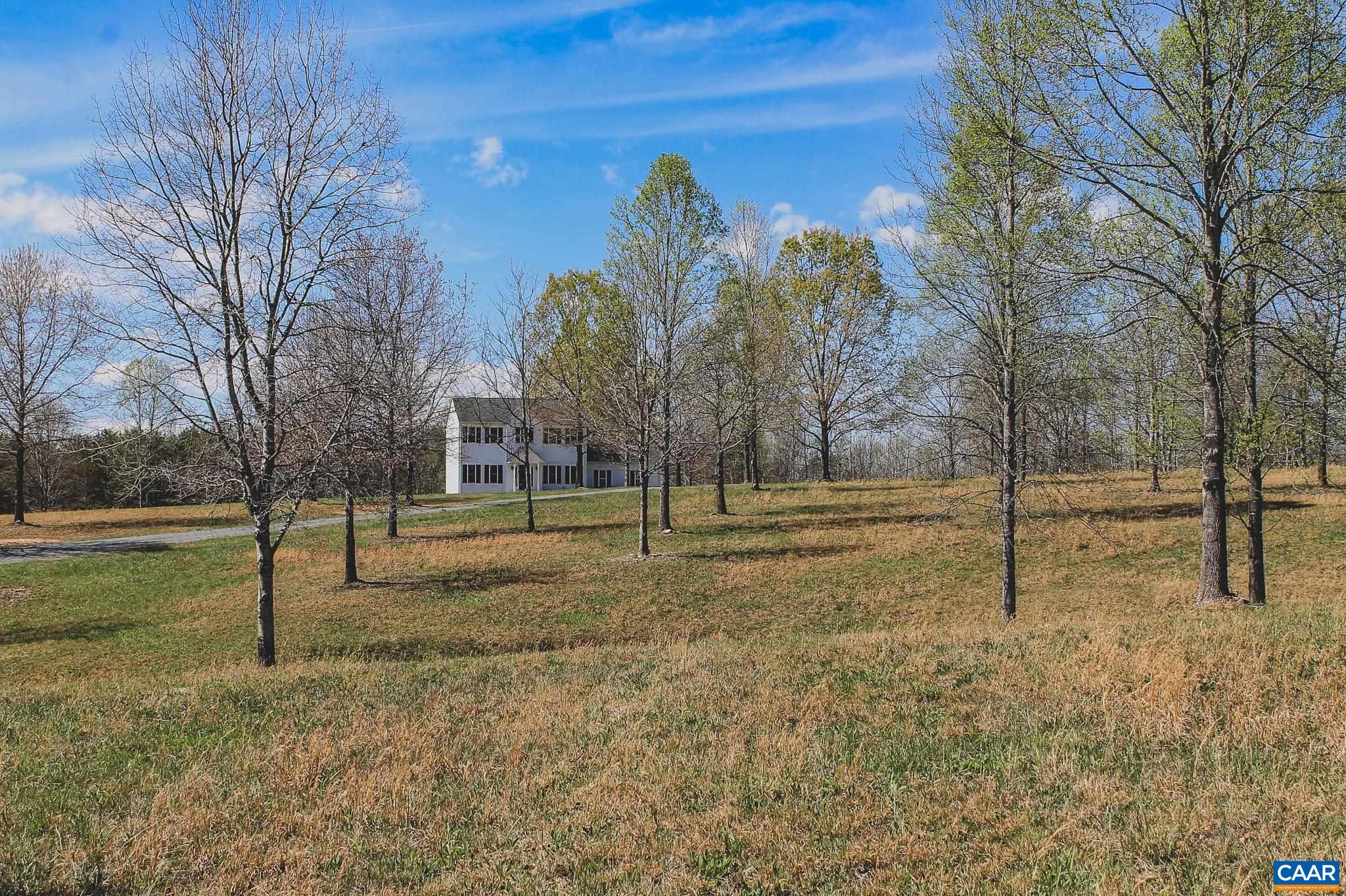 6518 Jefferson Mill Road Scottsville, VA 24590 - Photo 18 of 60 a view of a yard with a tree