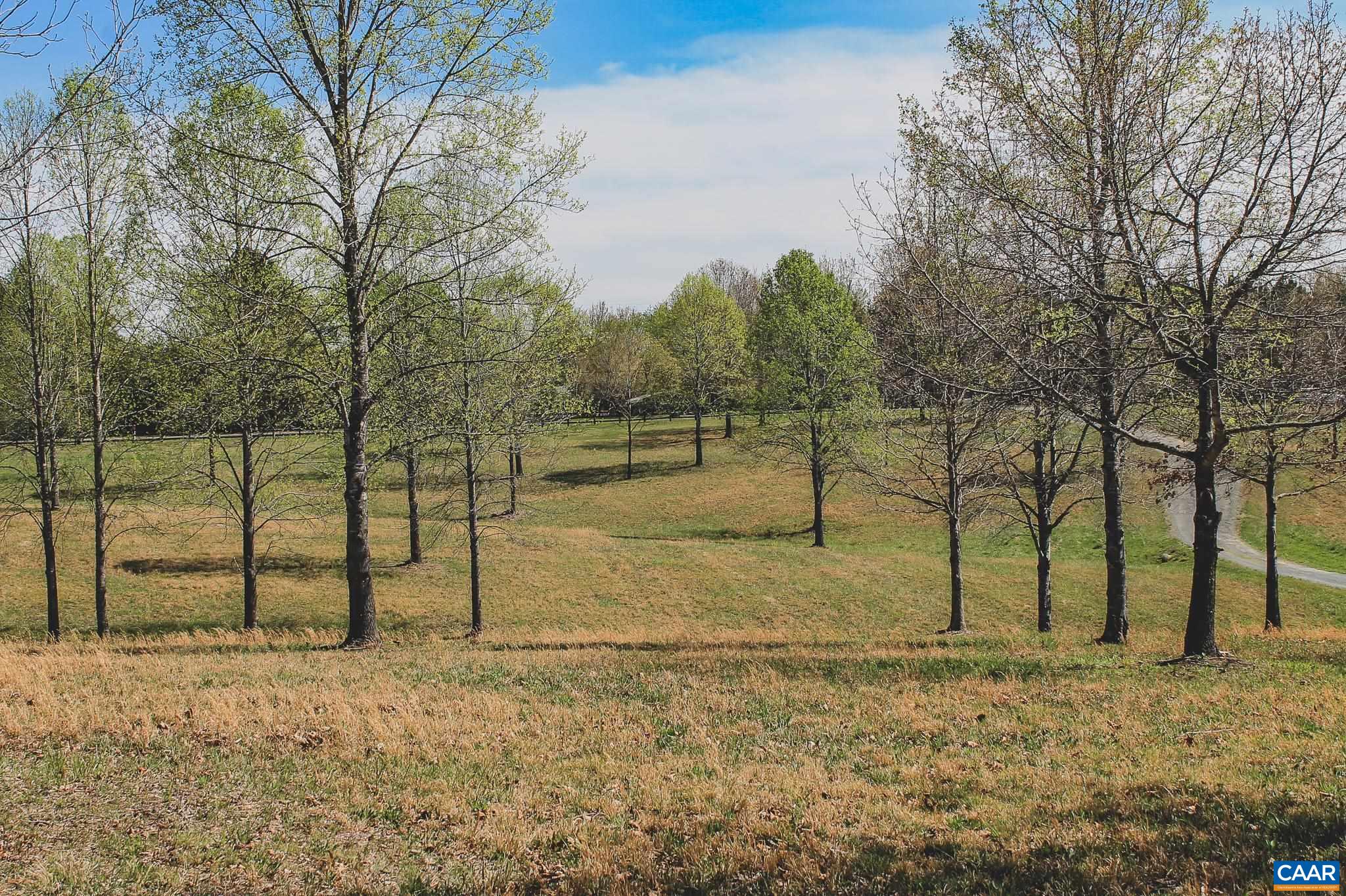 6518 Jefferson Mill Road Scottsville, VA 24590 - Photo 20 of 60 a view of a yard with wooden fence