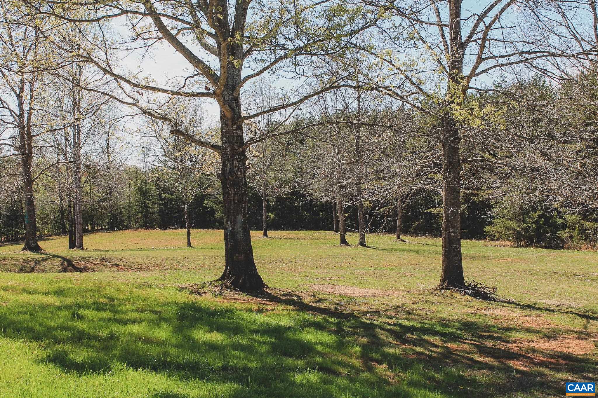 6518 Jefferson Mill Road Scottsville, VA 24590 - Photo 54 of 60 a view of a yard with a tree