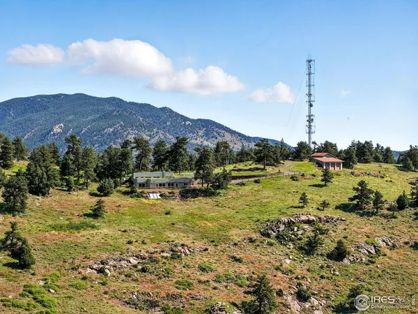 a view of a big yard with large trees