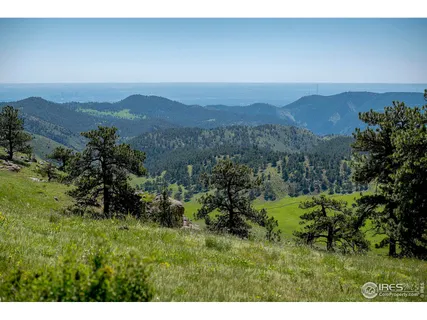 a dining room with furniture window and wooden floor