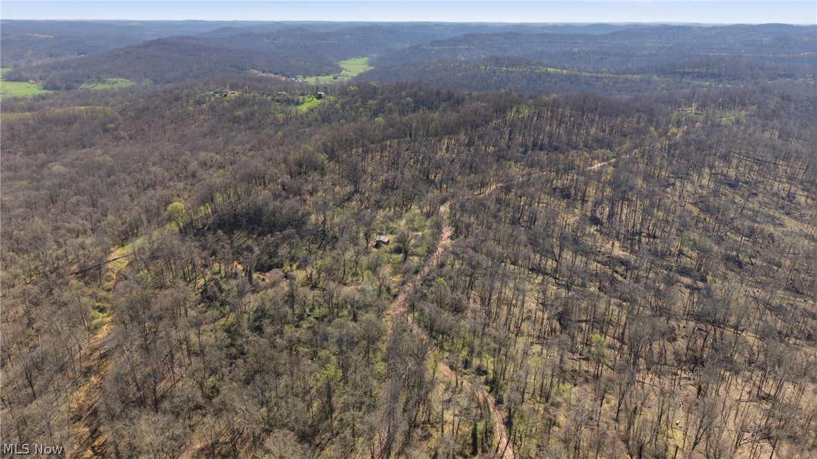 Logston Run Road Ravenswood, WV 26164 - Photo 10 of 10