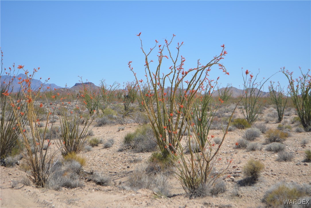 245-24-107 South Rainbow Road Yucca, AZ 86438 - Photo 86 of 91