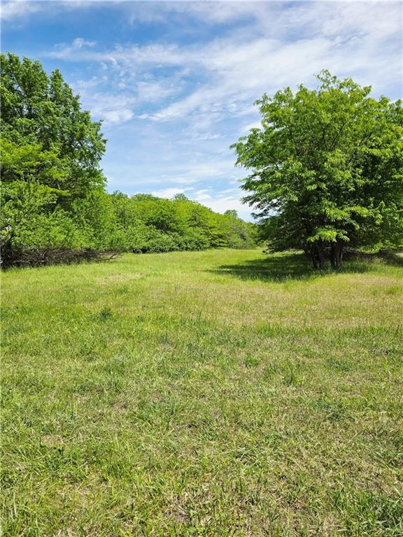 Lot 9 Deer View Estates Road Holden, MO 64040 - Photo 5 of 12