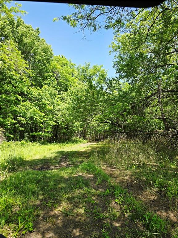 Lot 9 Deer View Estates Road Holden, MO 64040 - Photo 7 of 12