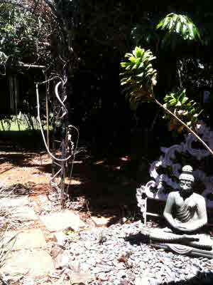 4483 Pili Road Kilauea, HI 96754 - Photo 18 of 22 Gallery Image 18
