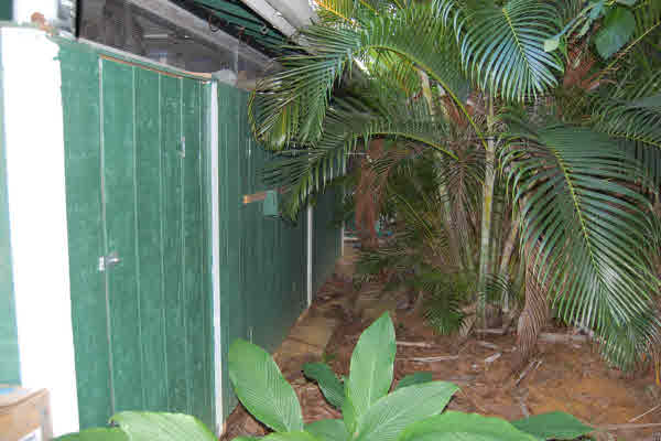 4483 Pili Road Kilauea, HI 96754 - Photo 21 of 22 Gallery Image 21