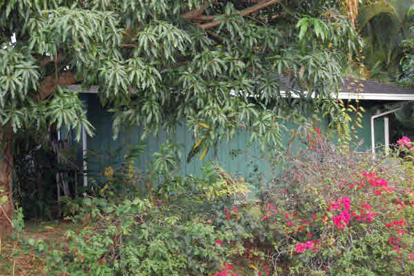 4483 Pili Road Kilauea, HI 96754 - Photo 22 of 22 Gallery Image 22