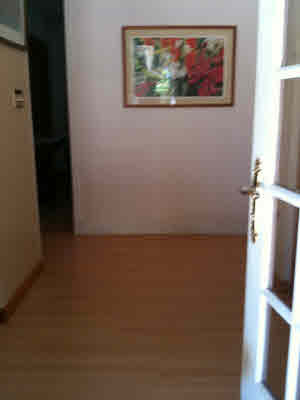 4483 Pili Road Kilauea, HI 96754 - Photo 3 of 22 Gallery Image 3