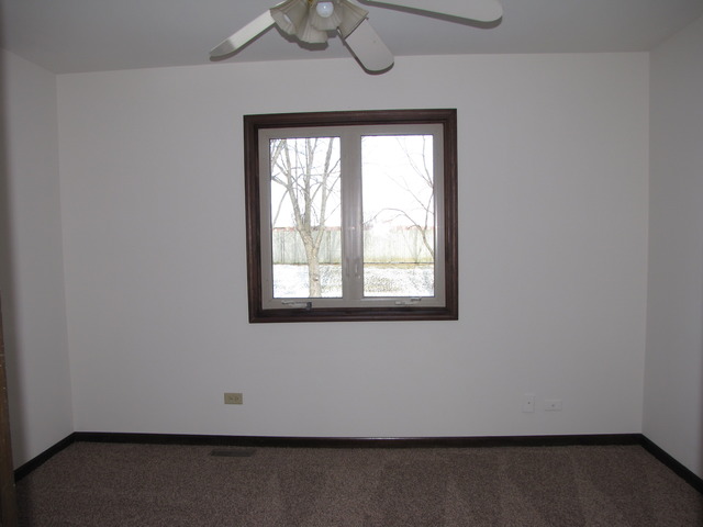 29W260 Wagner Road Naperville, IL 60564 - Photo 13 of 20