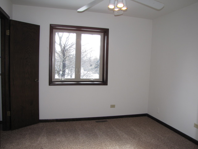 29W260 Wagner Road Naperville, IL 60564 - Photo 14 of 20
