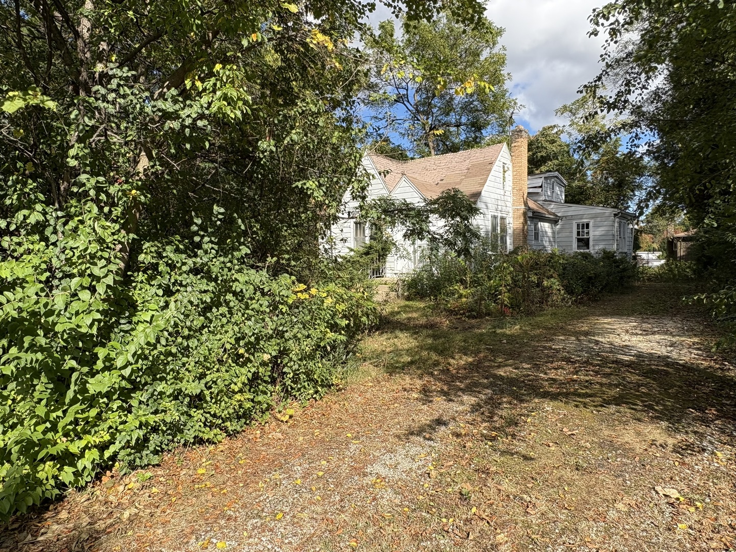 a view of a yard with plants