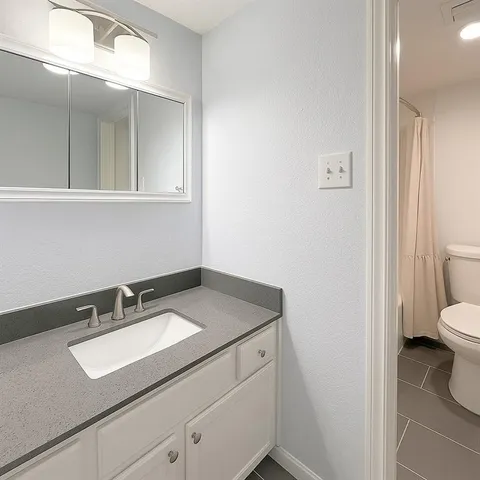 a bathroom with a sink toilet and vanity