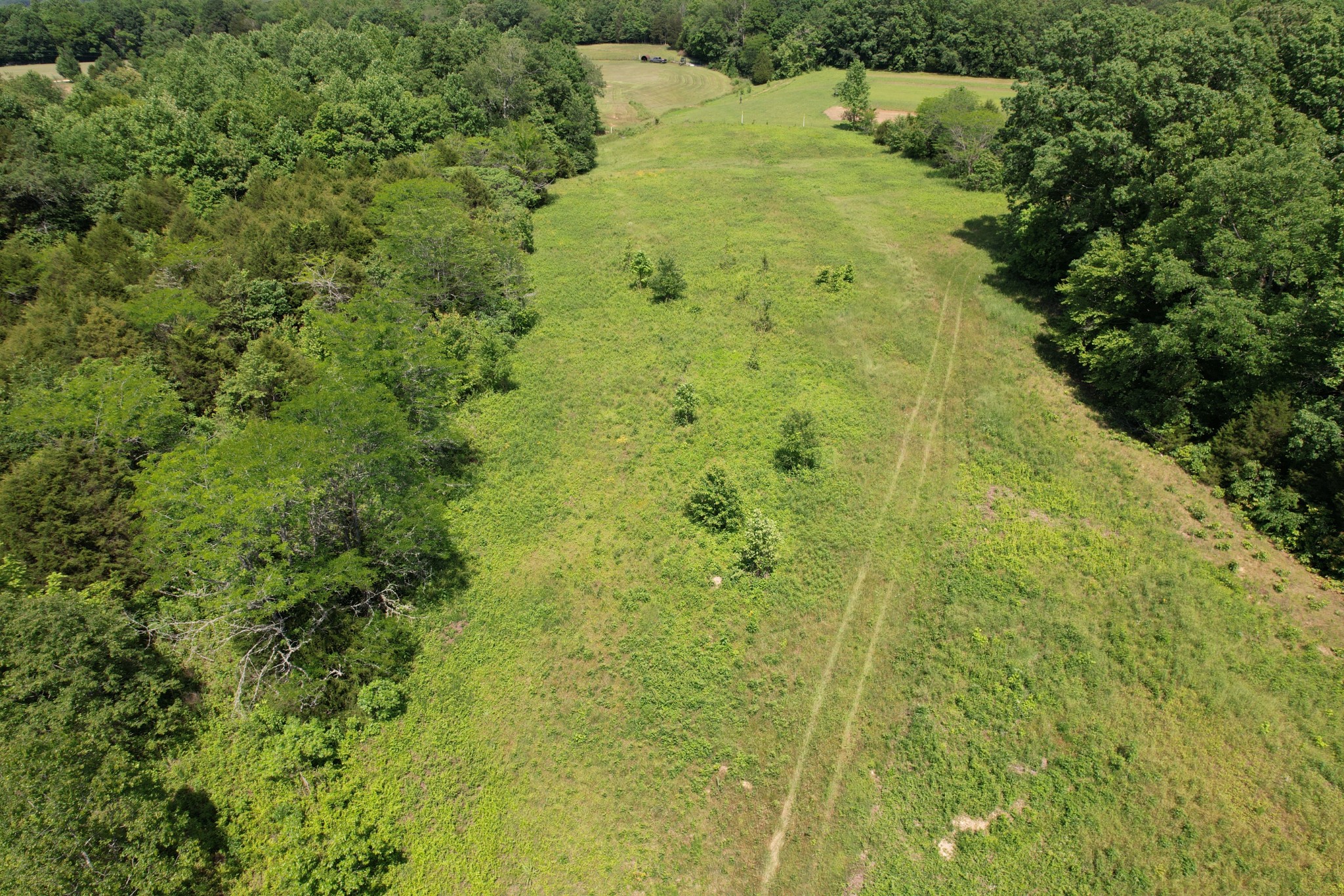 0 Chickasaw Cove Road Waynesboro, TN 38485 - Photo 13 of 22 Gallery Image 13