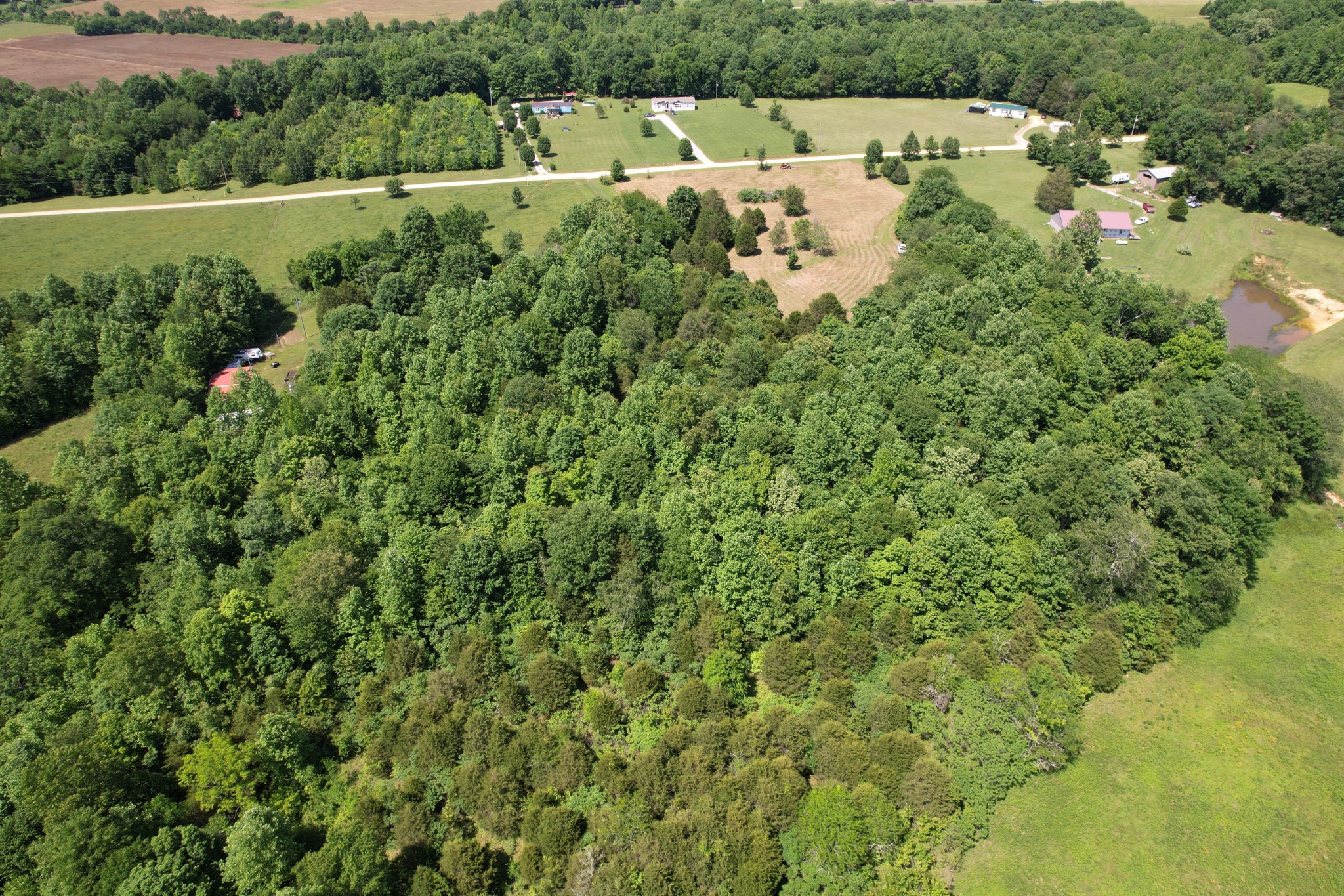 0 Chickasaw Cove Road Waynesboro, TN 38485 - Photo 14 of 22 Gallery Image 14