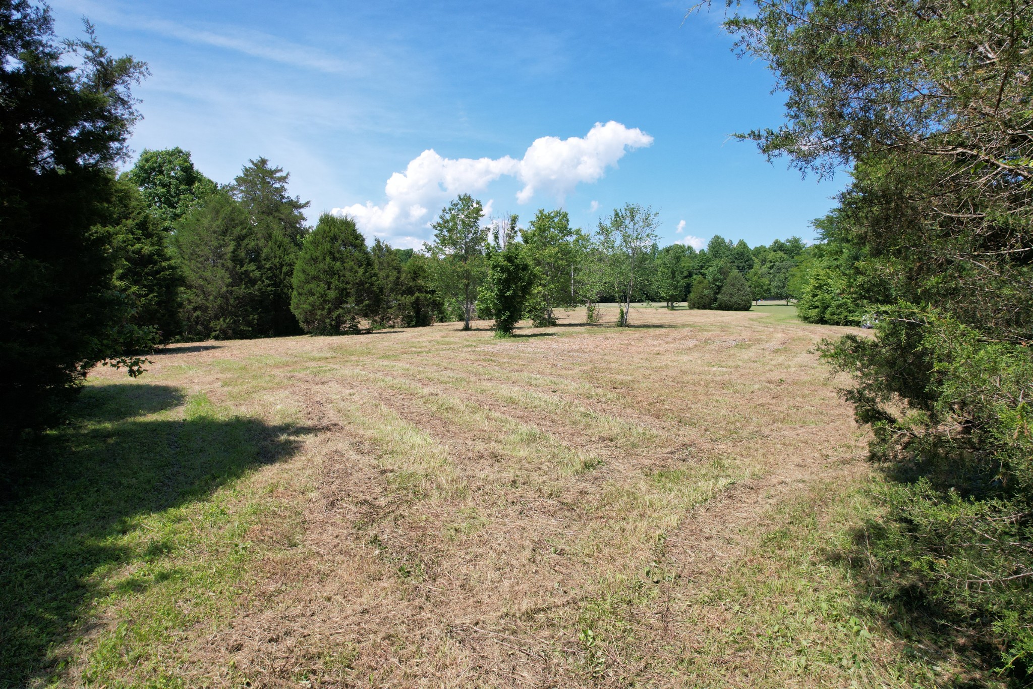 0 Chickasaw Cove Road Waynesboro, TN 38485 - Photo 18 of 22 Gallery Image 18