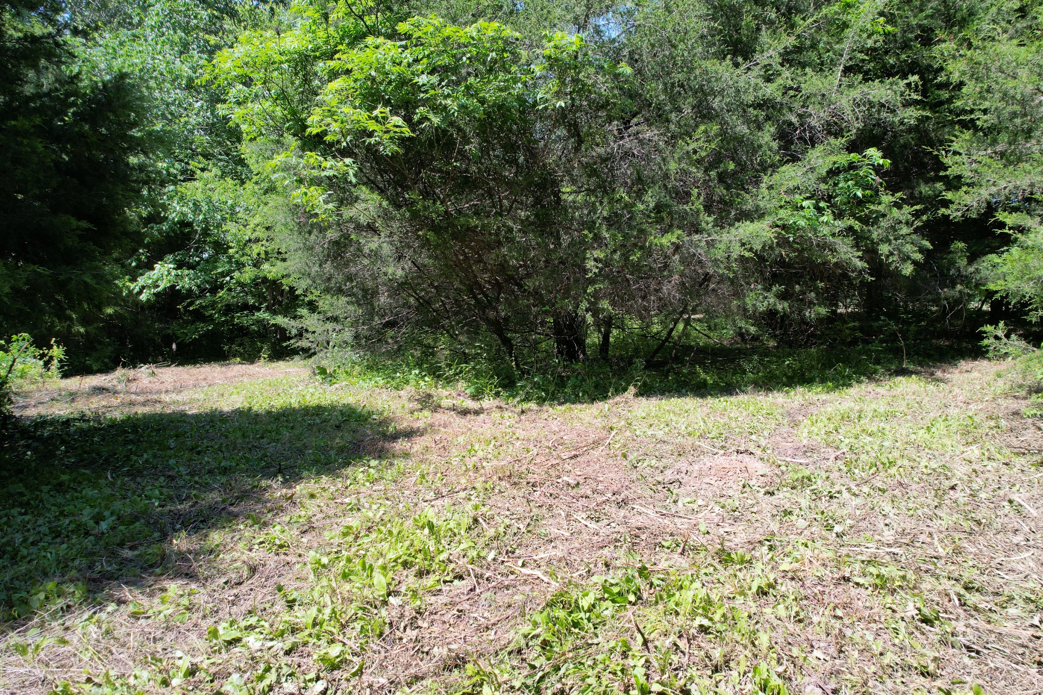 0 Chickasaw Cove Road Waynesboro, TN 38485 - Photo 20 of 22 Gallery Image 20