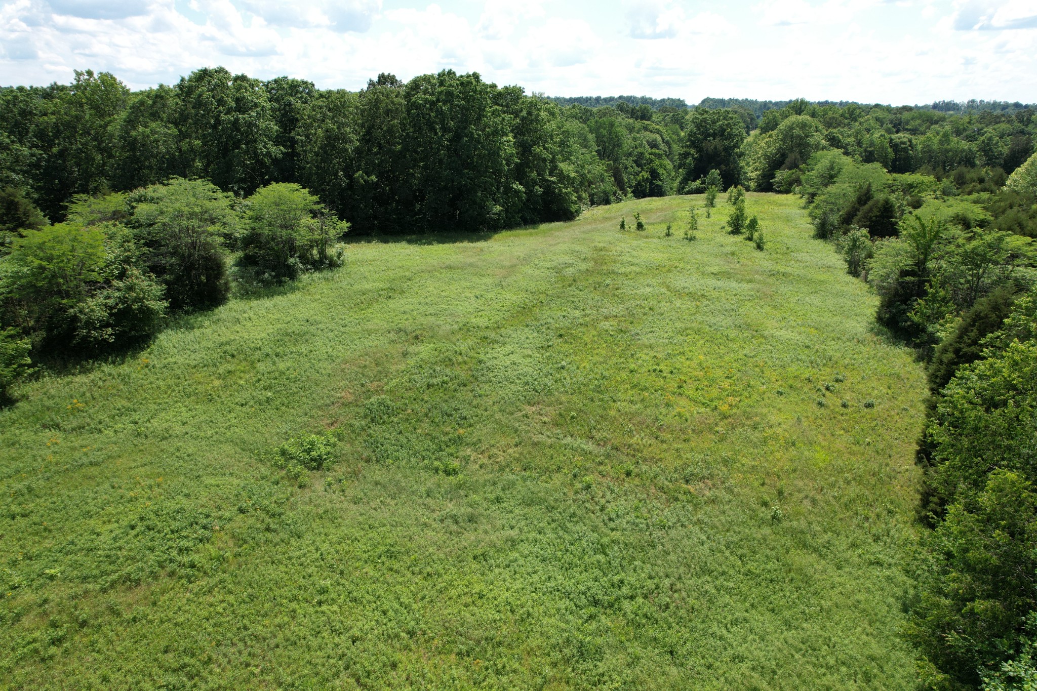 0 Chickasaw Cove Road Waynesboro, TN 38485 - Photo 21 of 22 Gallery Image 21