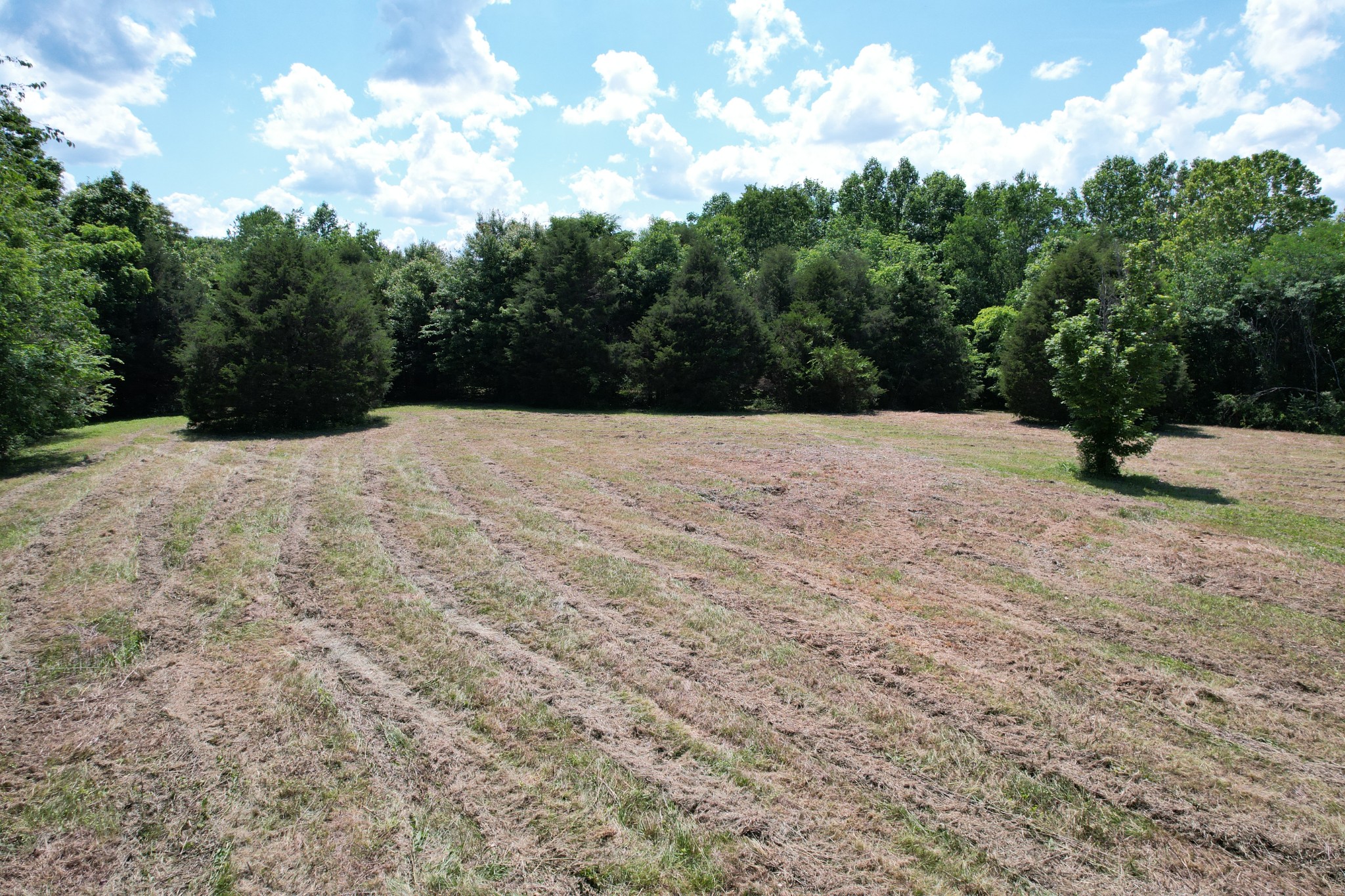 0 Chickasaw Cove Road Waynesboro, TN 38485 - Photo 7 of 22 Gallery Image 7