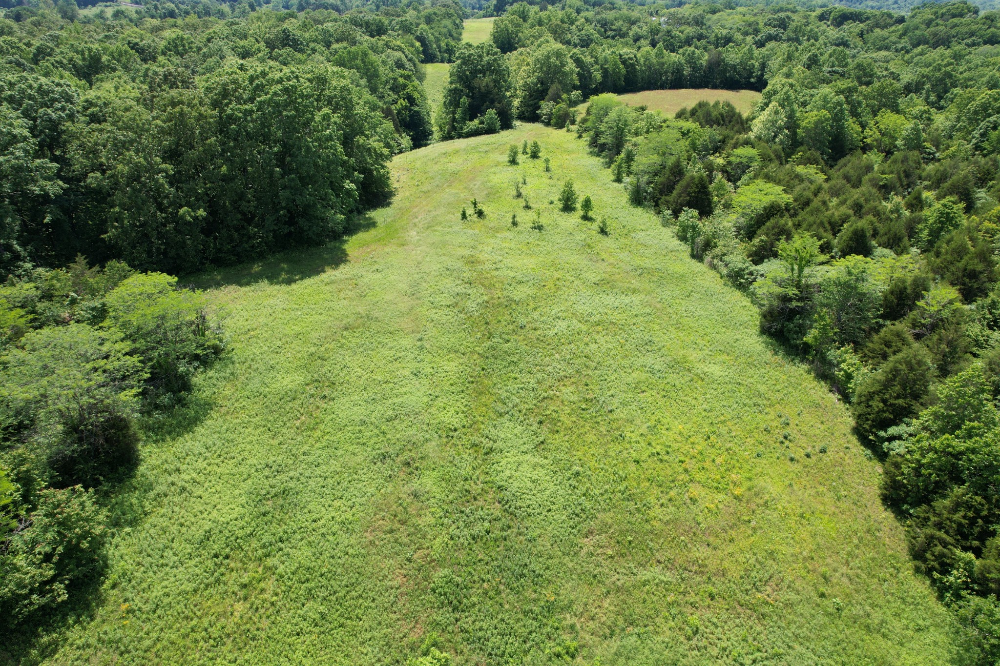 0 Chickasaw Cove Road Waynesboro, TN 38485 - Photo 9 of 22 Gallery Image 9
