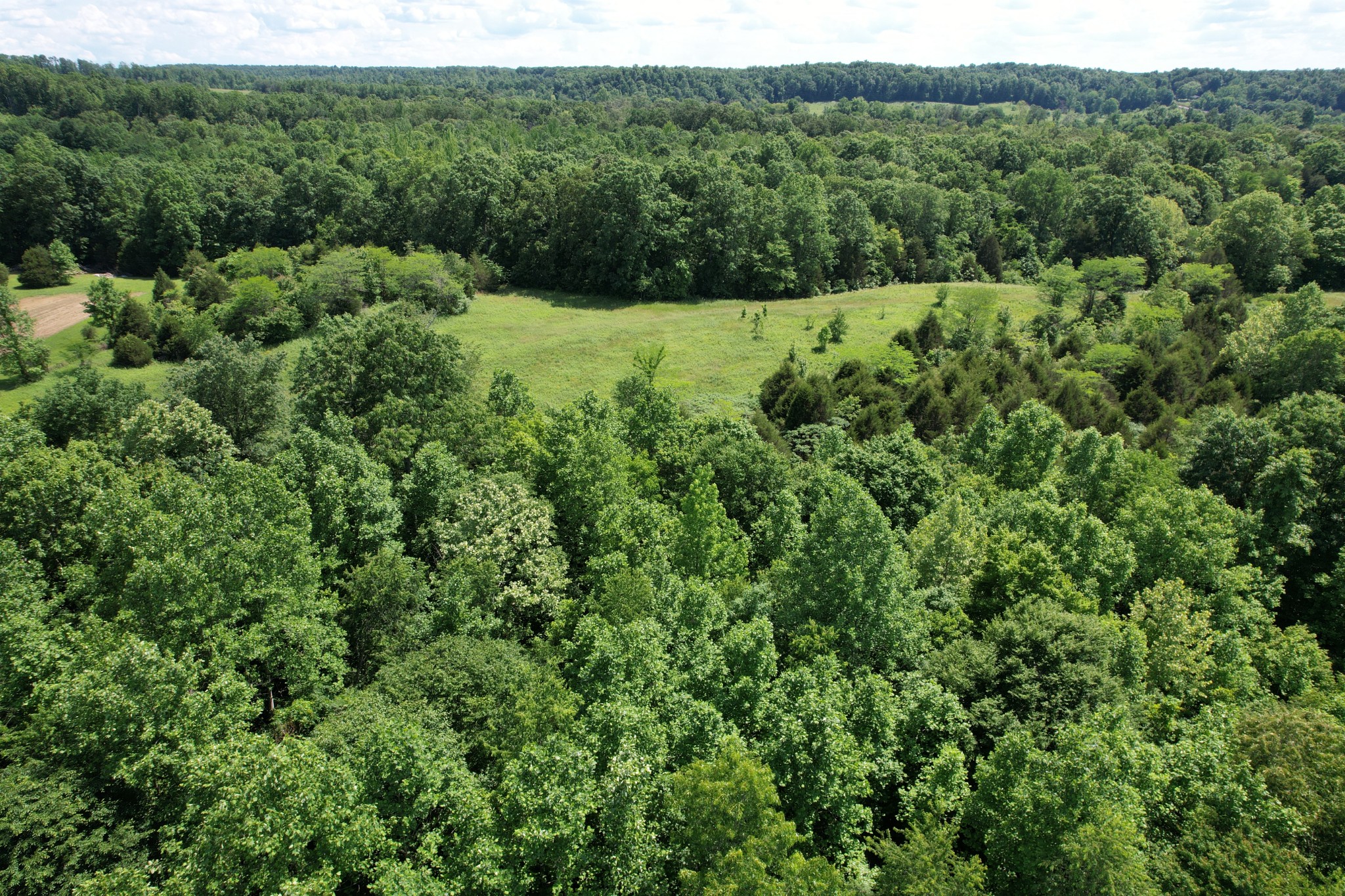 0 Chickasaw Cove Road Waynesboro, TN 38485 - Photo 10 of 22 Gallery Image 10