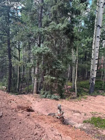 a backyard of a house with a tree