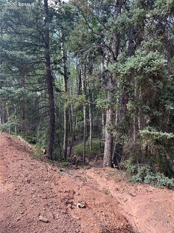 1301 Calcite Drive Divide, CO 80814 - Photo 4 of 4 a view of outdoor space with trees