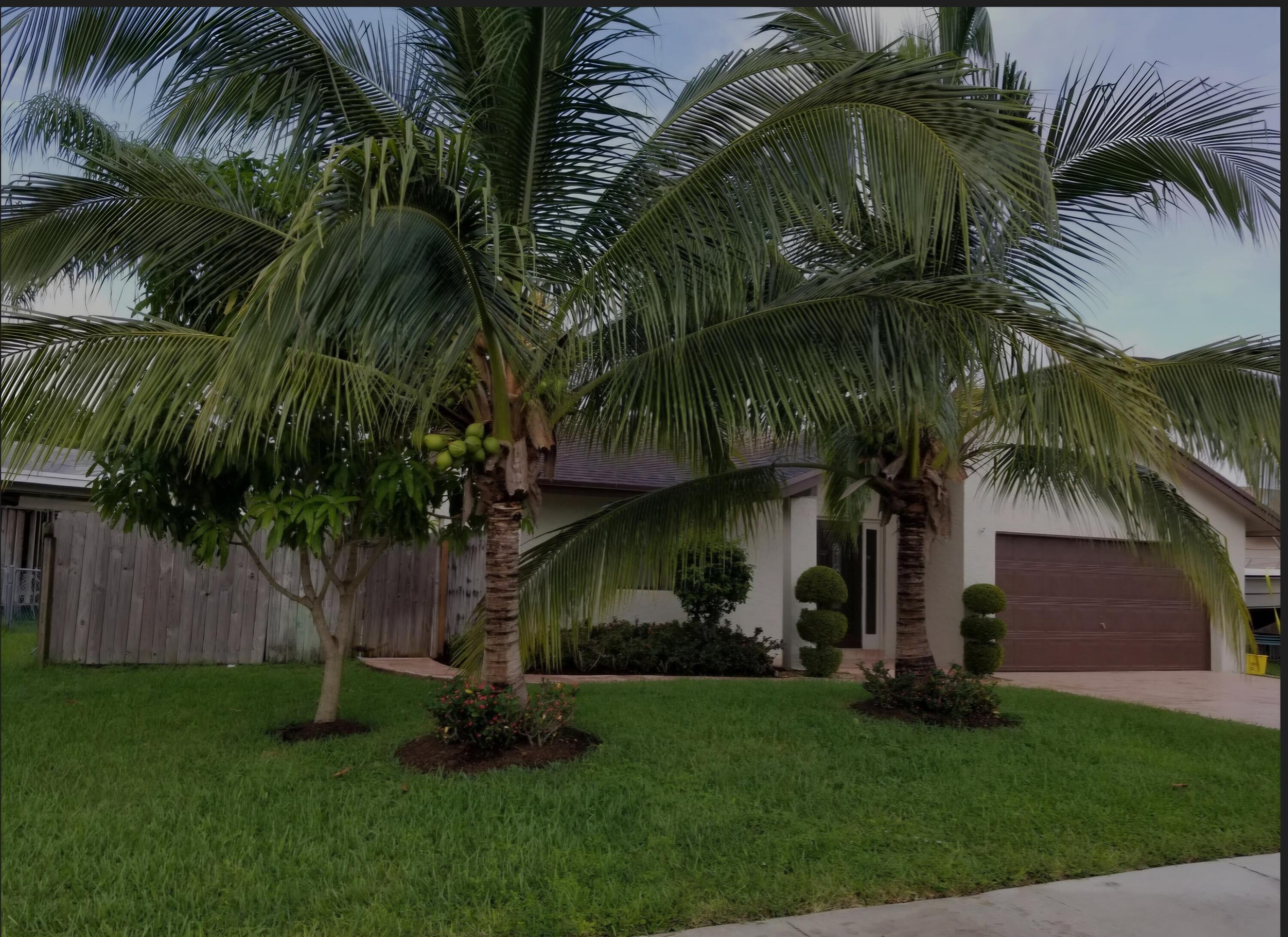 22761 Southwest 64th Way Boca Raton, FL 33428 - Photo 3 of 22 a view of a yard with a palm trees