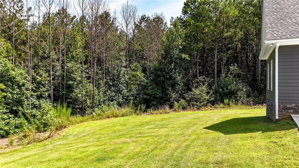368 Pine Road Rockmart, GA 30153 - Photo 64 of 72 Gallery Image 64