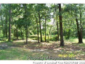 221 Jesse Road Broadway, NC 27505 - Photo 13 of 15 Gallery Image 13